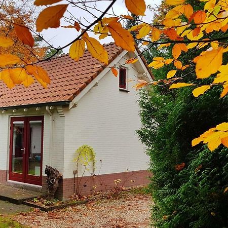 Dennenhuis Vaassen Εξωτερικό φωτογραφία