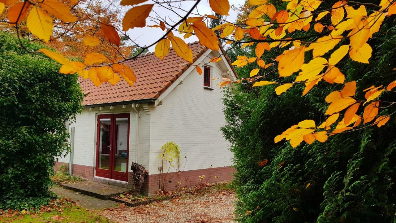 Dennenhuis Vaassen Εξωτερικό φωτογραφία