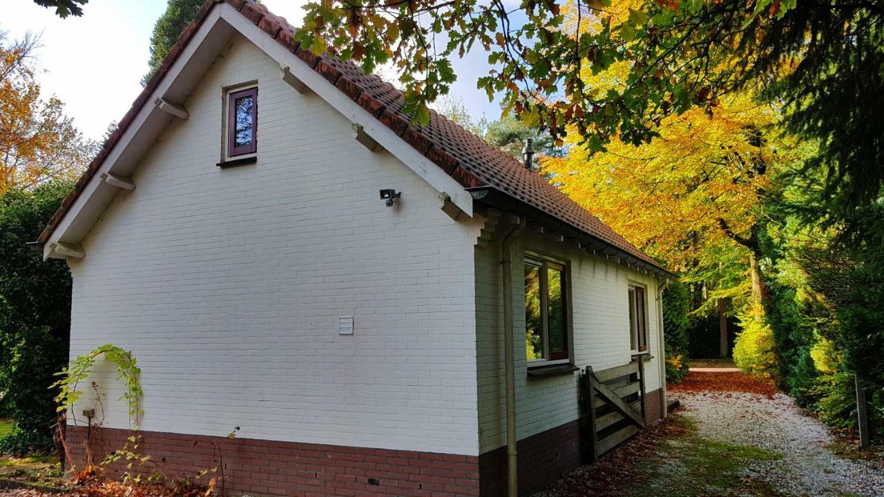 Dennenhuis Vaassen Εξωτερικό φωτογραφία