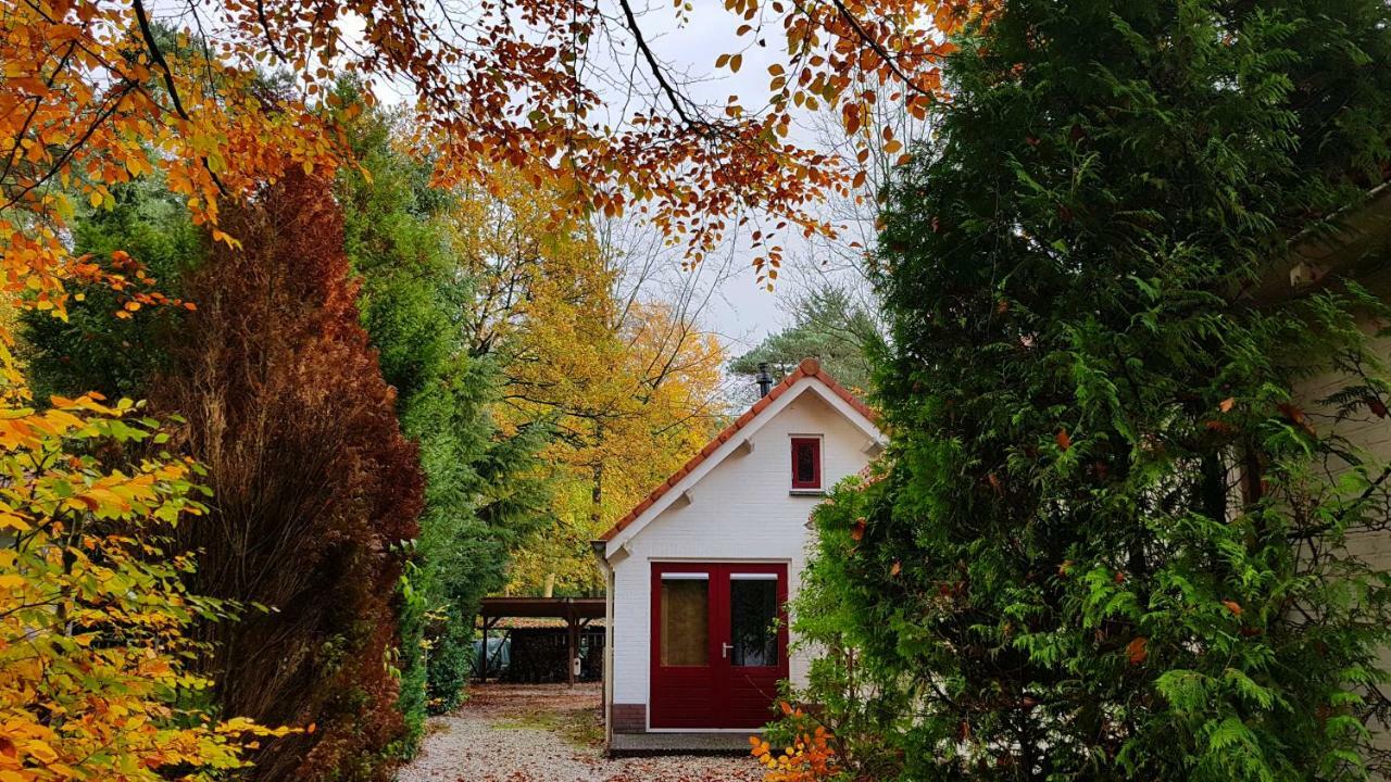 Dennenhuis Vaassen Εξωτερικό φωτογραφία